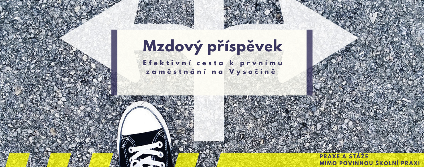 Mzdový příspěvek - Efektivní cesta